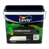 Ambiance mur ivoorbeige 5 L