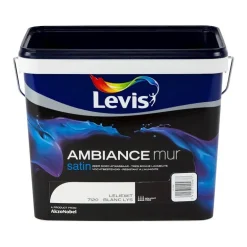 Ambiance mur satin leliewit 5 L