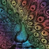 Artfoil Rainbow Peacock