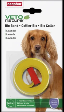 Bioband Hond lavendel