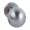 Deurbol inox 50 mm vast