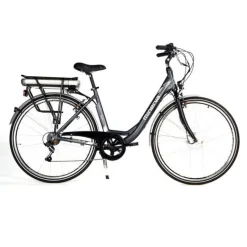 E-Bike Estrel Acera F-motor 7-speed D 49 - Grijs