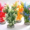 Fiesta bush 22 cm