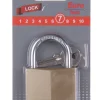 Hangslot 50 mm + 2 sleutels