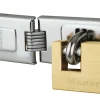 Hasp met rechthoekig hangslot 60 mm