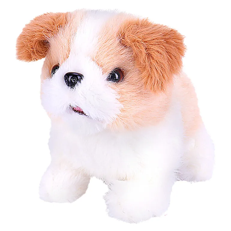 Hondje Kenzo