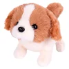 Hondje Sammy