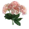 Hortensia Irina