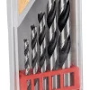 Houtborenset 4-10 mm 5 stuks