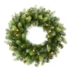 Kerstkrans groen + Led 50 cm