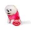 Knuffelbeer Huisdier Hondje Filou