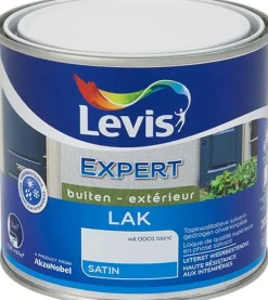 Lak expert satin 0001 0,5 L