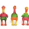 Latex fantasie kip