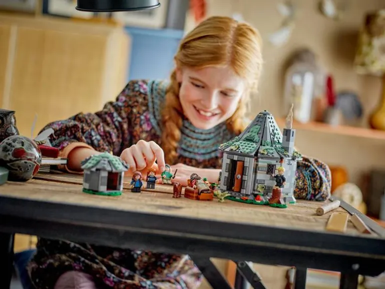LEGO Harry Potter 76428 Hagrids huisje: onverwacht bezoek