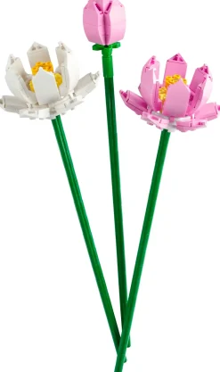 LEGO Iconic 40647 Lotusbloemen