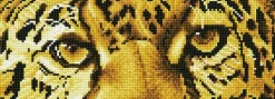 Leopard Spy Diamond Dotz