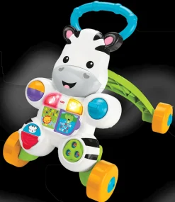 Loop met mij zebra NL