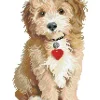 Lovely Boy Diamond Dotz