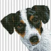 Me Diamond Dotz