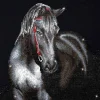 Midnight Stallion Diamond Dotz