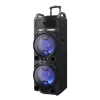 Mobiele installatie met 2x draadloze microfoon 800W