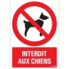 Pictogram interdit aux chiens 23 x 33 cm