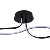 Plafondlamp Forsythia  LED  24W