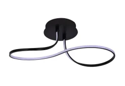 Plafondlamp Forsythia  LED  24W