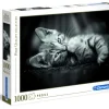 Puzzle 1000 Kitty