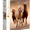 Puzzle 1000 Running Horses