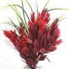 Ruscus L 25 cm