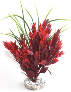 Ruscus L 25 cm