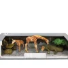 Safari dieren speelset