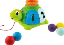 Schildpad met balletjes
