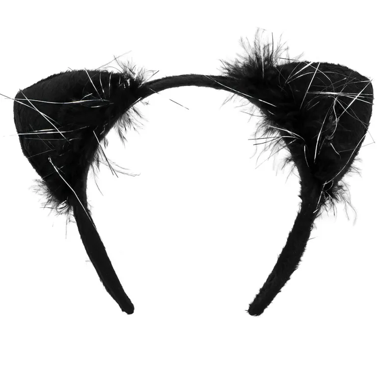 Set Kat - Staart en Tiara