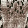 Snow Leopard Spy Diamond Dotz