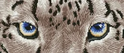 Snow Leopard Spy Diamond Dotz