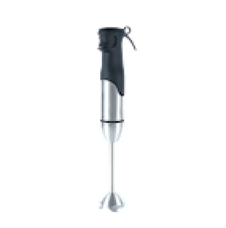 Staafmixer 800W
