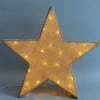 Ster LED warm wit 30 cm
