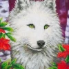 White Wolf Diamond Dotz