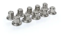 Wielmoerdoppen RVS x10 32mm