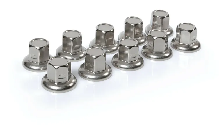 Wielmoerdoppen RVS x10 32mm